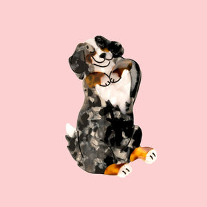 Pinza Cane Bernese