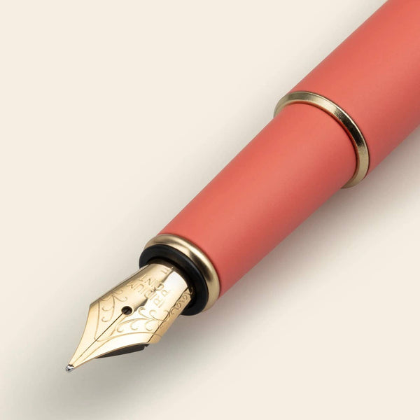 Penna stilografica