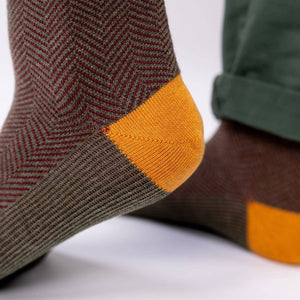 Calze | Campana