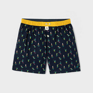 Boxer Tout schuss