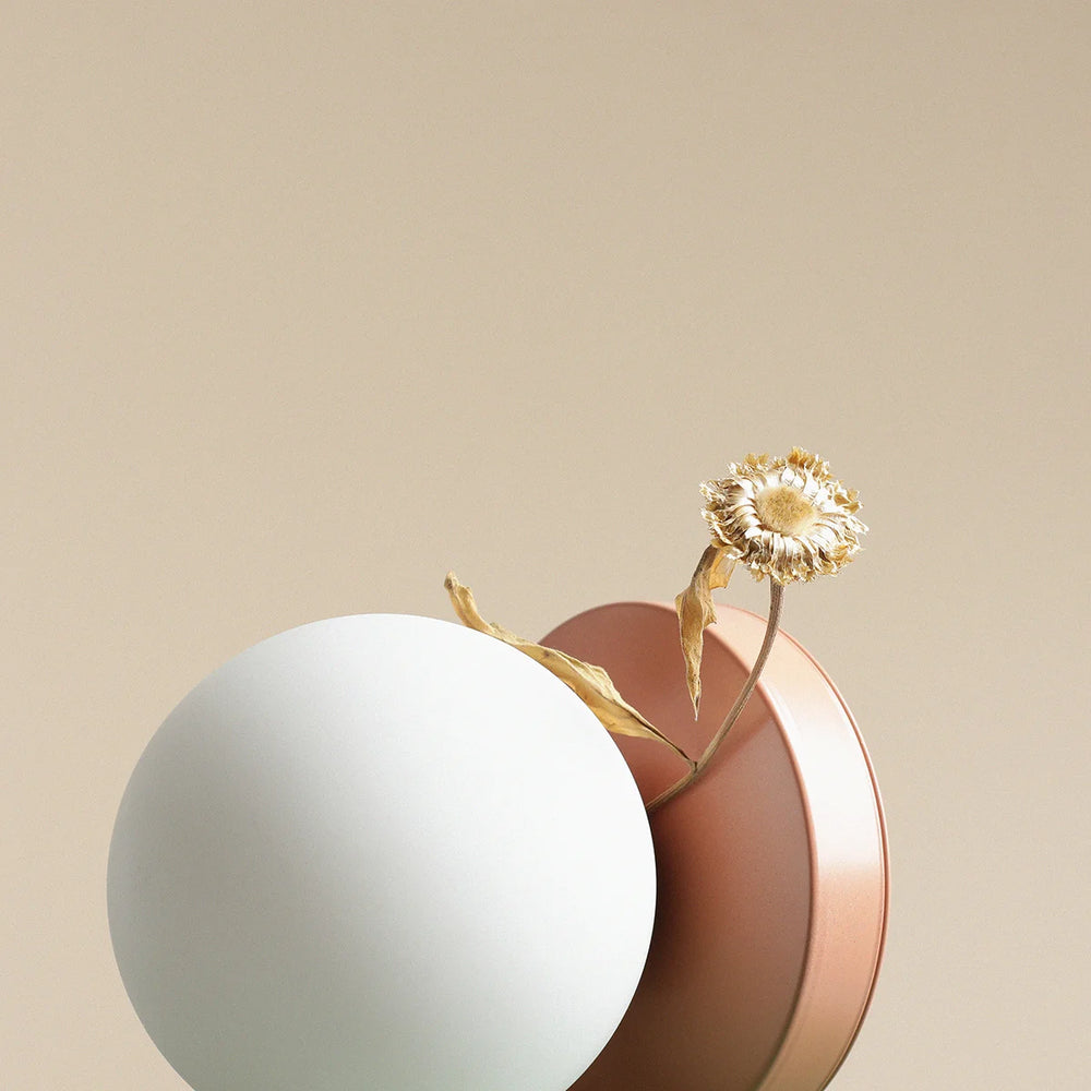BALL DESK LAMP | CORAL