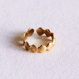 Anello regolabile | Conchiglie