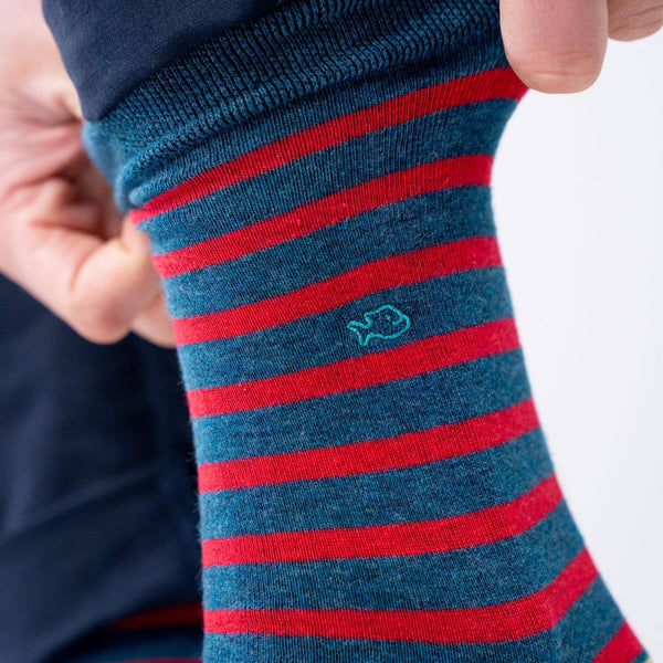 Calzini | Navy/red