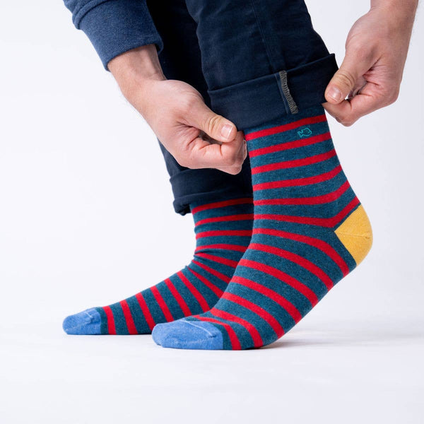 Calzini | Navy/red