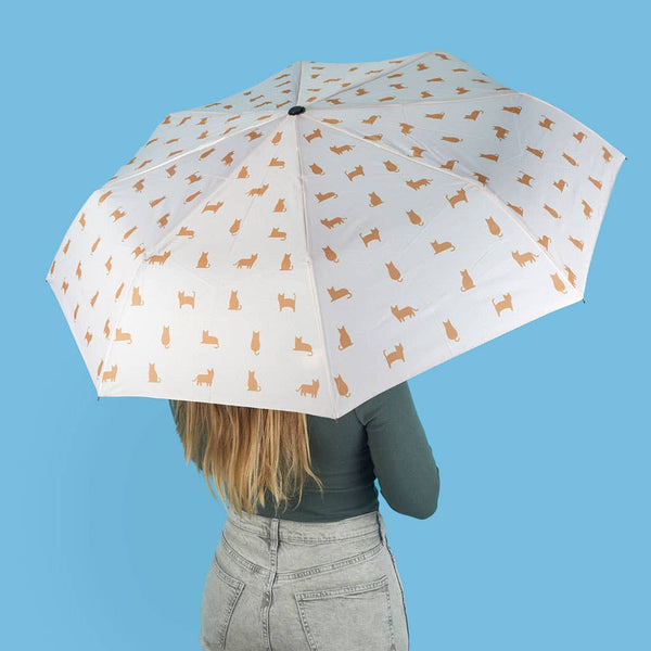 Ombrello | Meowmbrella