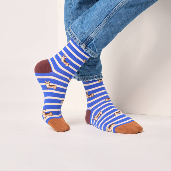 Calzini | Corgi