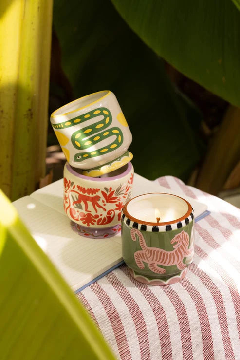 Jungle Ceramic Candle | Coconut & Amber Boxed