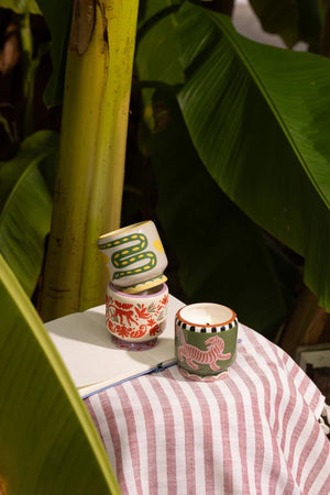Candela | A dopo | Snake Wild Lemongrass