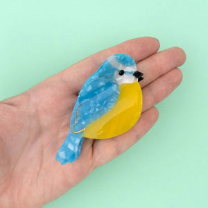 Pinza | Uccellino blu