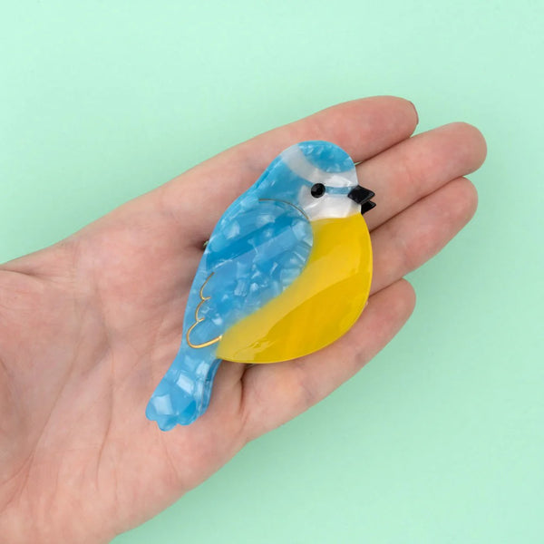 Pinza | Uccellino blu