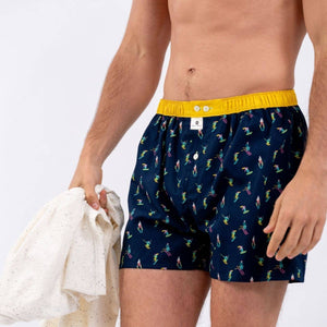 Boxer Tout schuss