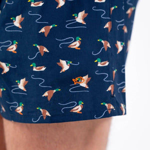 Boxer Ducky
