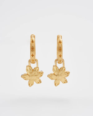 Orecchini a cerchio | Nightshade gold