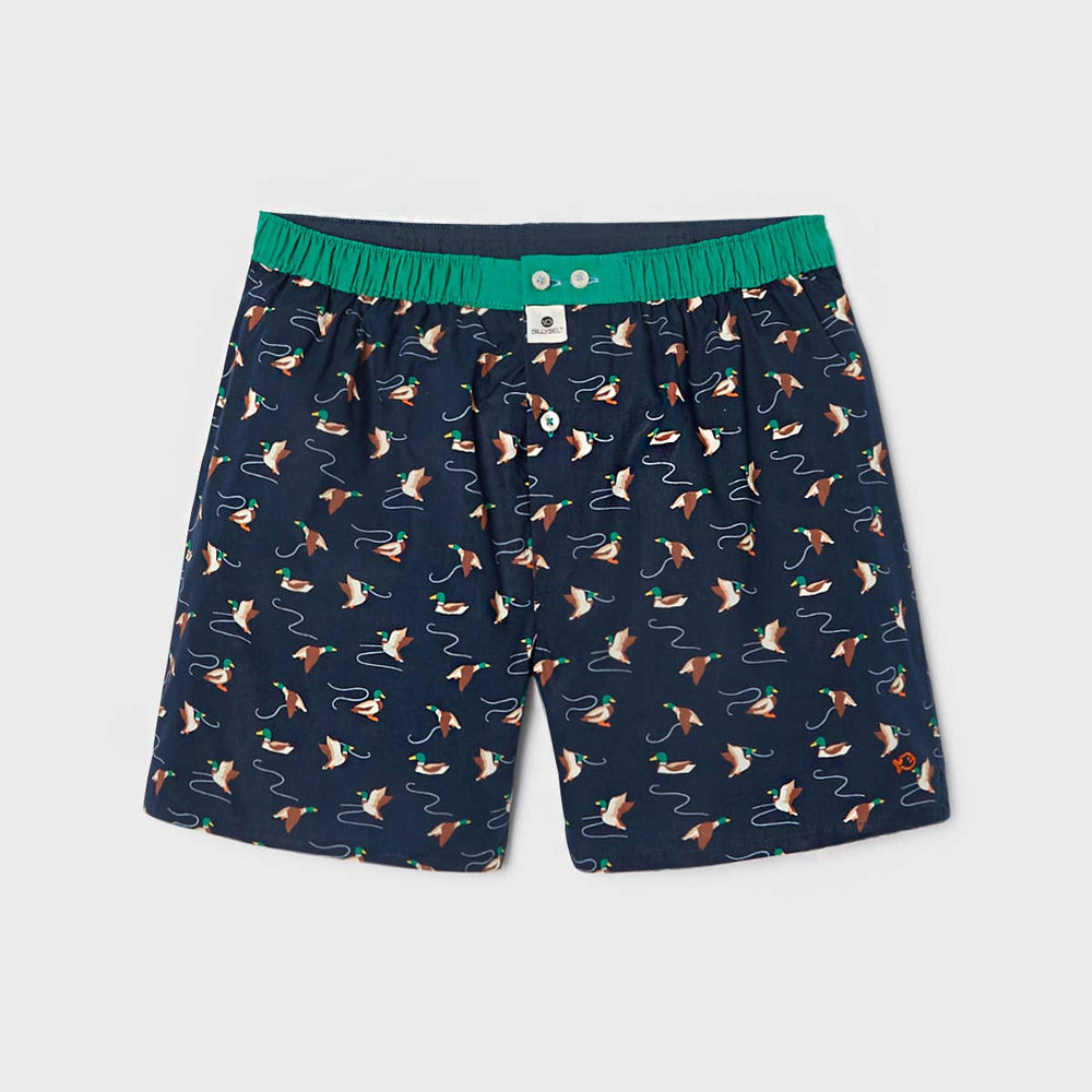 Boxer Ducky