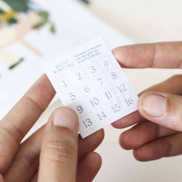 Paint by numbers | New York