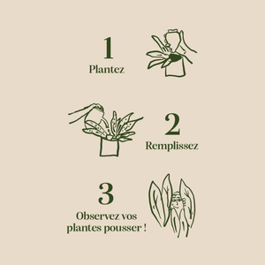 Olla | Bianco Maculato