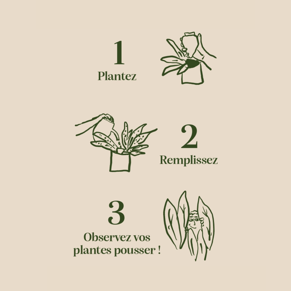 Olla | Bianco Maculato