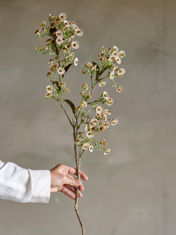 Waxflower Stelo artificiale | Bianco