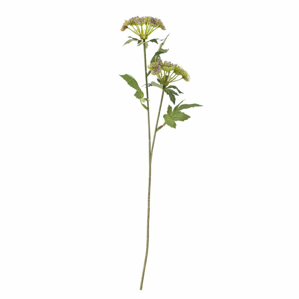 Throatwort Stelo artificiale | Viola