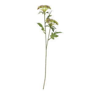 Throatwort Stelo artificiale | Viola
