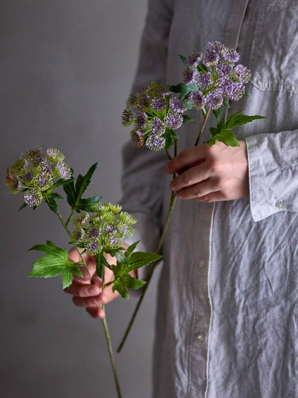 Throatwort Stelo artificiale | Viola