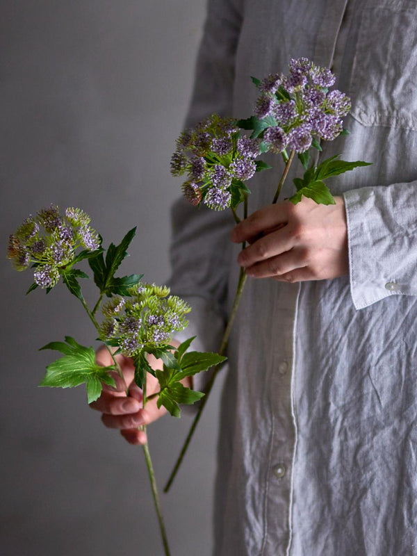 Throatwort Stelo artificiale | Viola