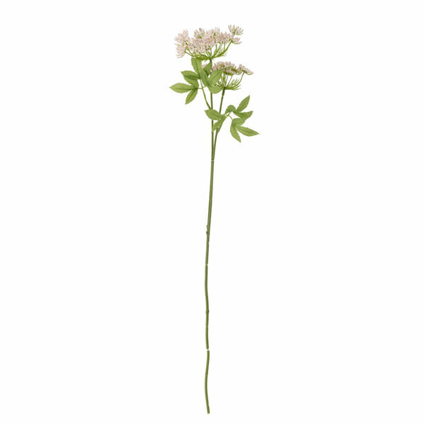 Fennel Stelo artificiale | Rosa