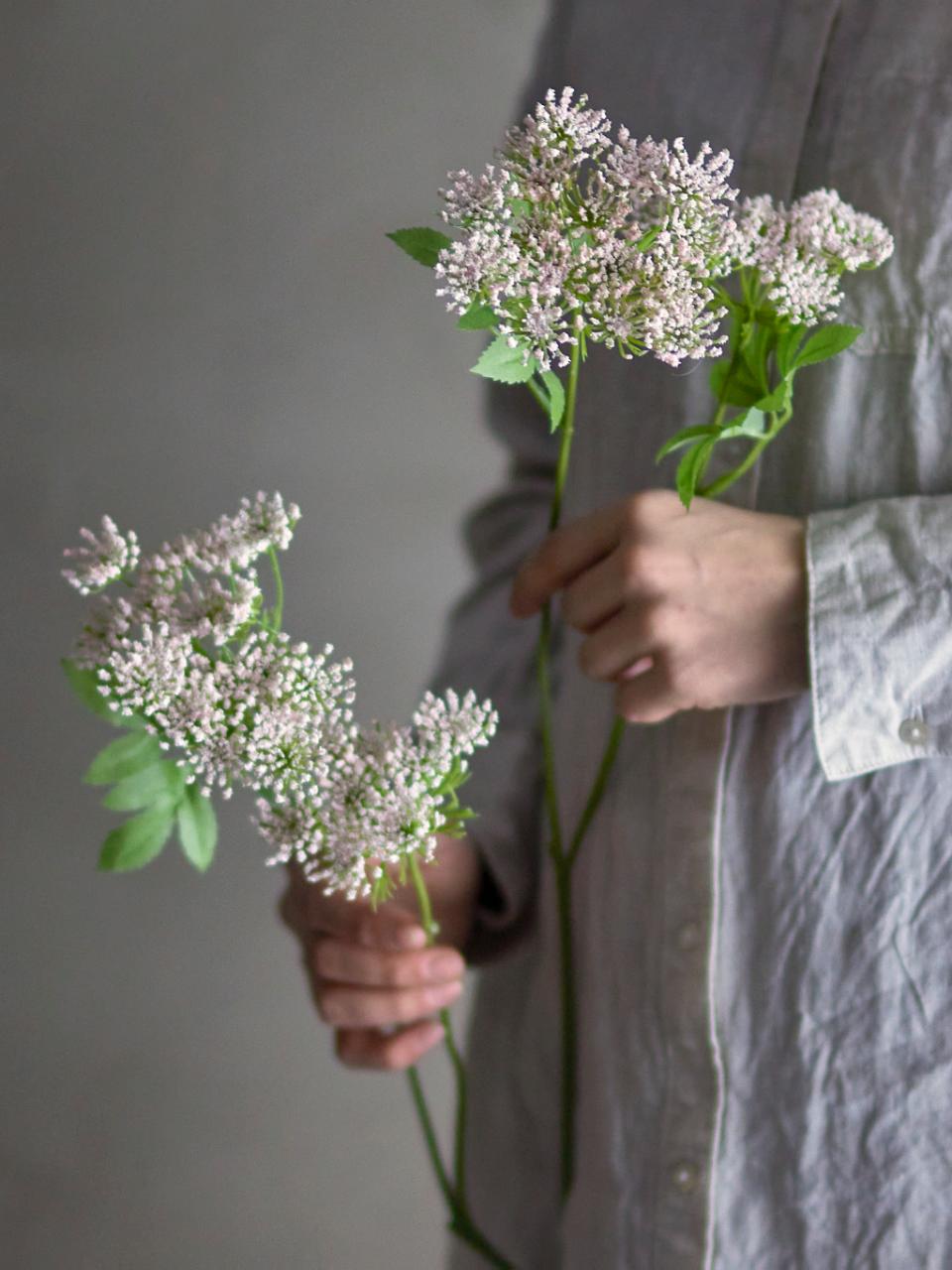 Fennel Stelo artificiale | Rosa