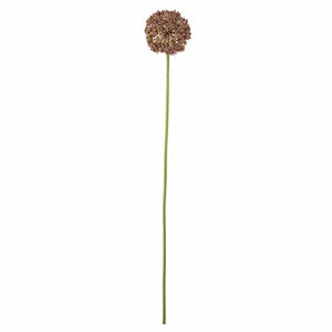 Allium Stelo artificiale | Marrone