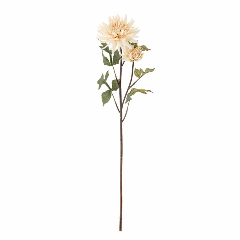 Chrysantemum Stelo artificiale | Nature