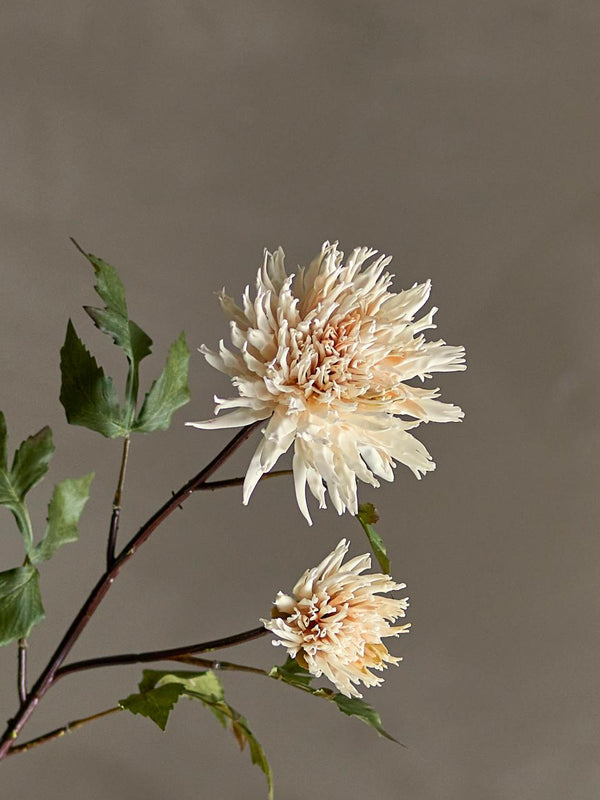 Chrysantemum Stelo artificiale | Nature