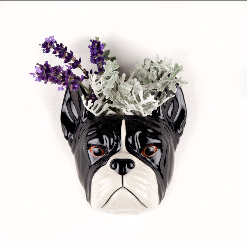 Wall Vase | Bulldog Francese | Small